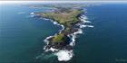 Philip Island Nature Park - VIC T (PBH3 00 34655)